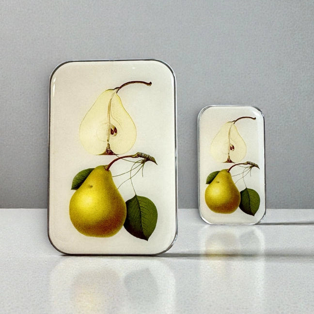 Notions Tin Large - Botanical Pear