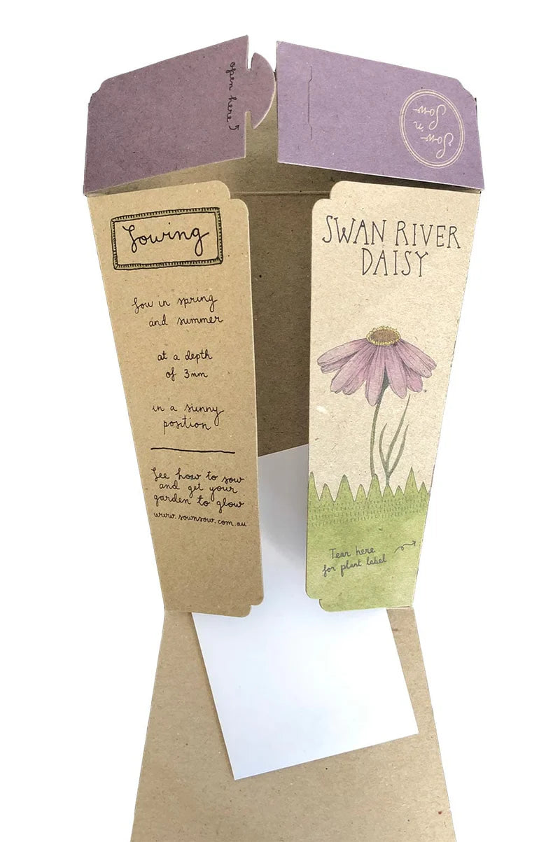 Gift of Seeds - Swan River Daisy