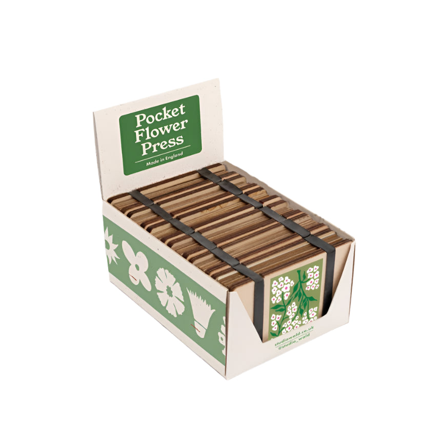 Pocket Flower Press - Forget Me Not