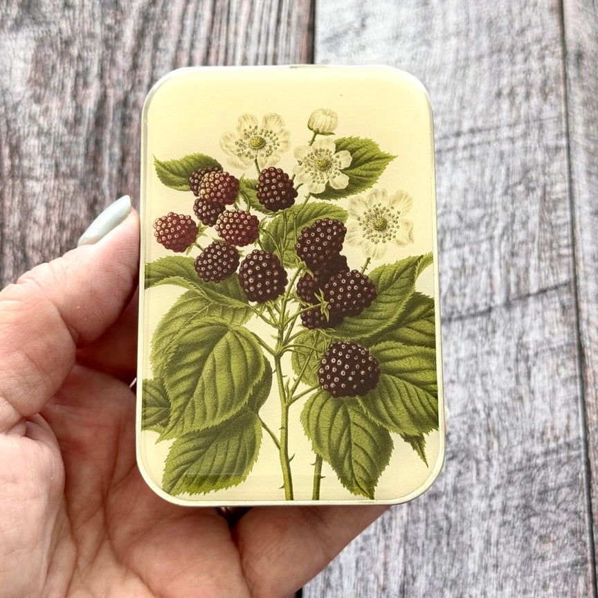 Notions Tin Large - Wild Blackberry Botanical