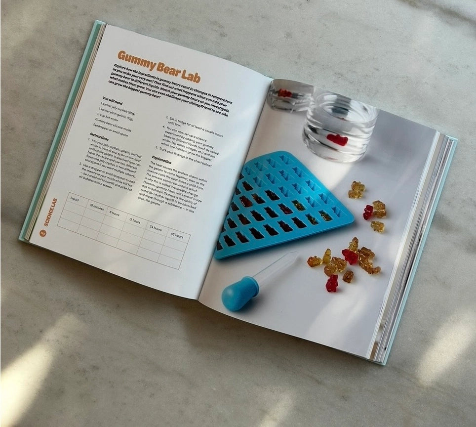 The Fun Book