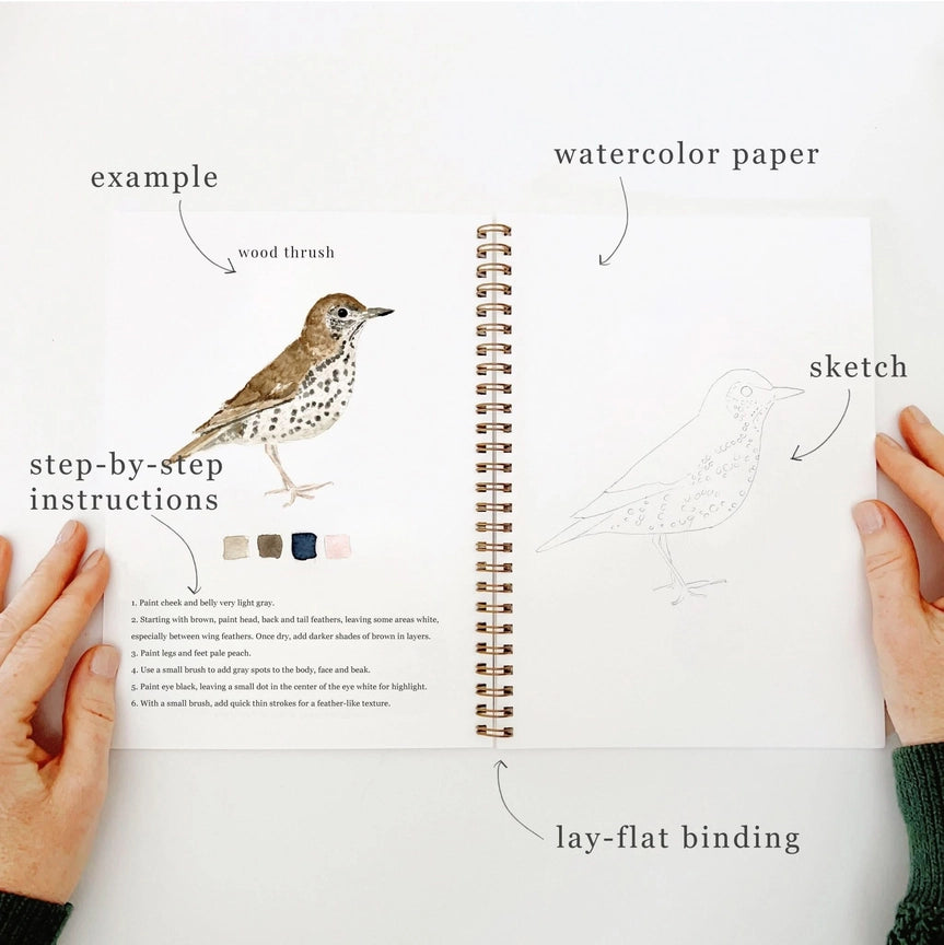 Watercolour Workbook - Birds