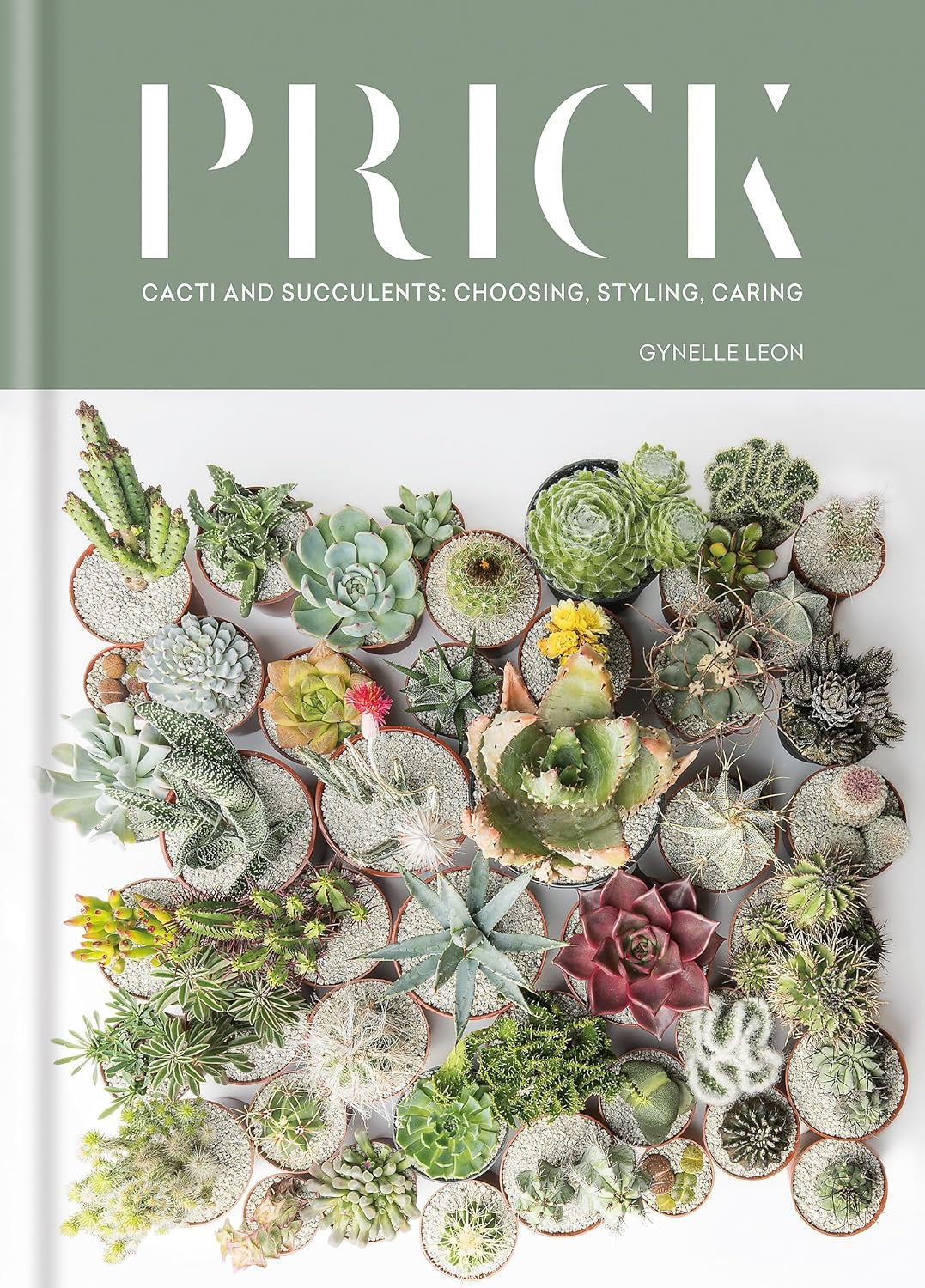 Prick Cacti & Succulents: Choosing, Styling, Caring