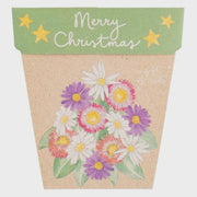 Gift Of Seeds - Merry Christmas Daisies