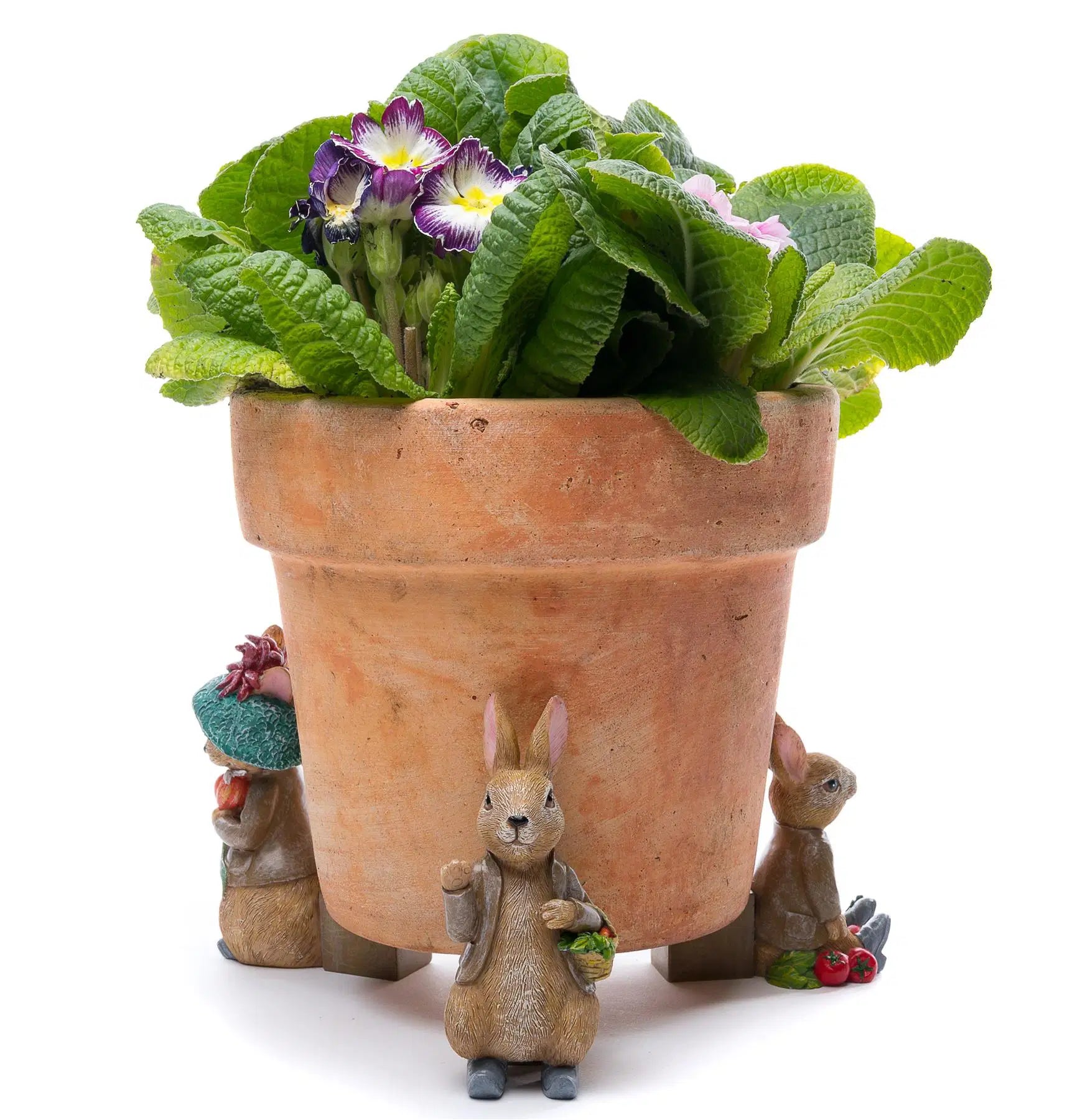 Potty Feet Set of 3 - Beatrix Potter Set 2