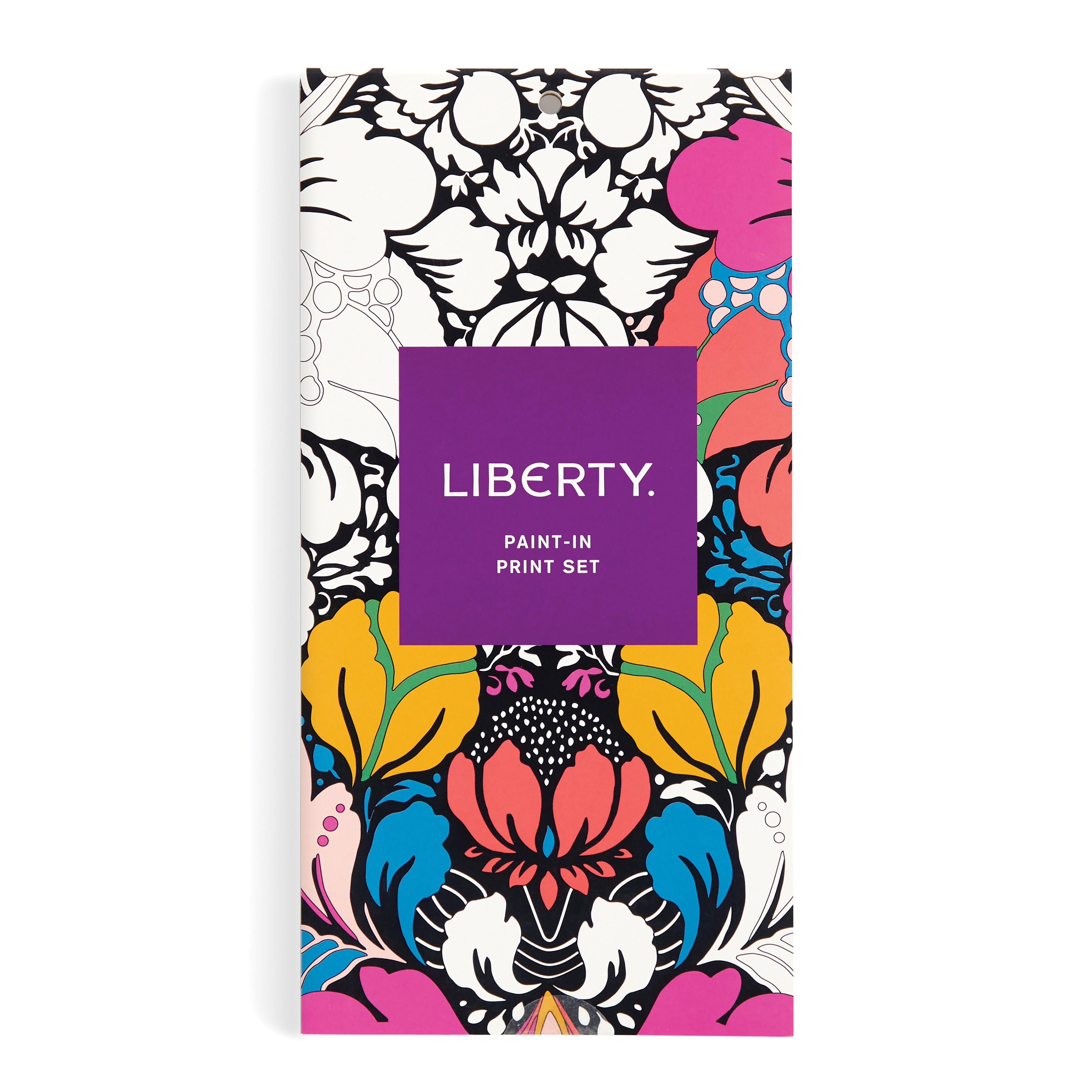 Paint-In Print Set - Liberty