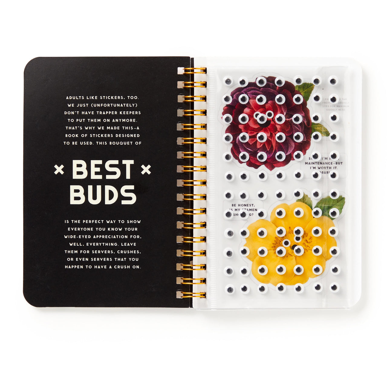 Googly Sticker Book - Best Buds