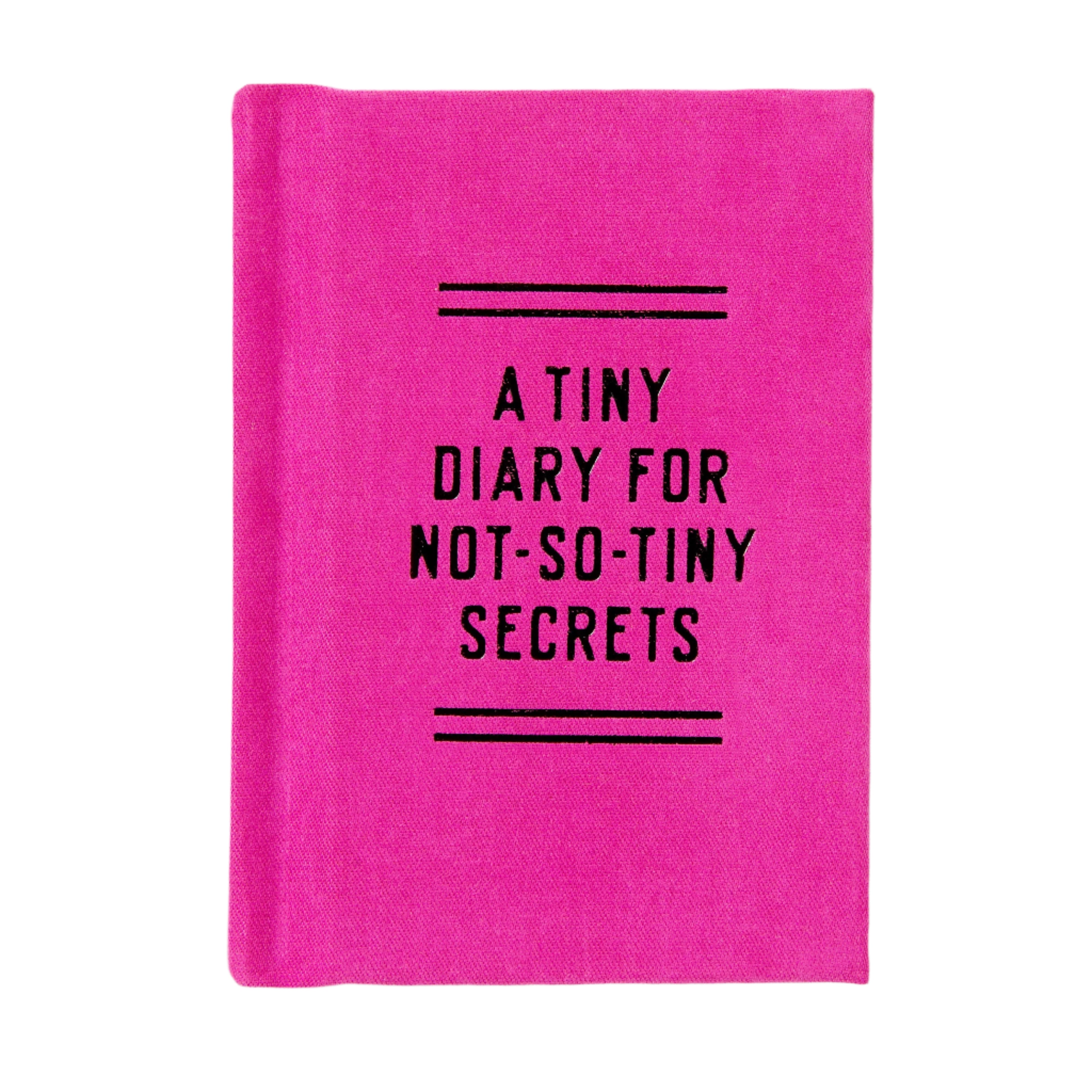 Tiny Books - Tiny Diary for Not So Tiny Secrets