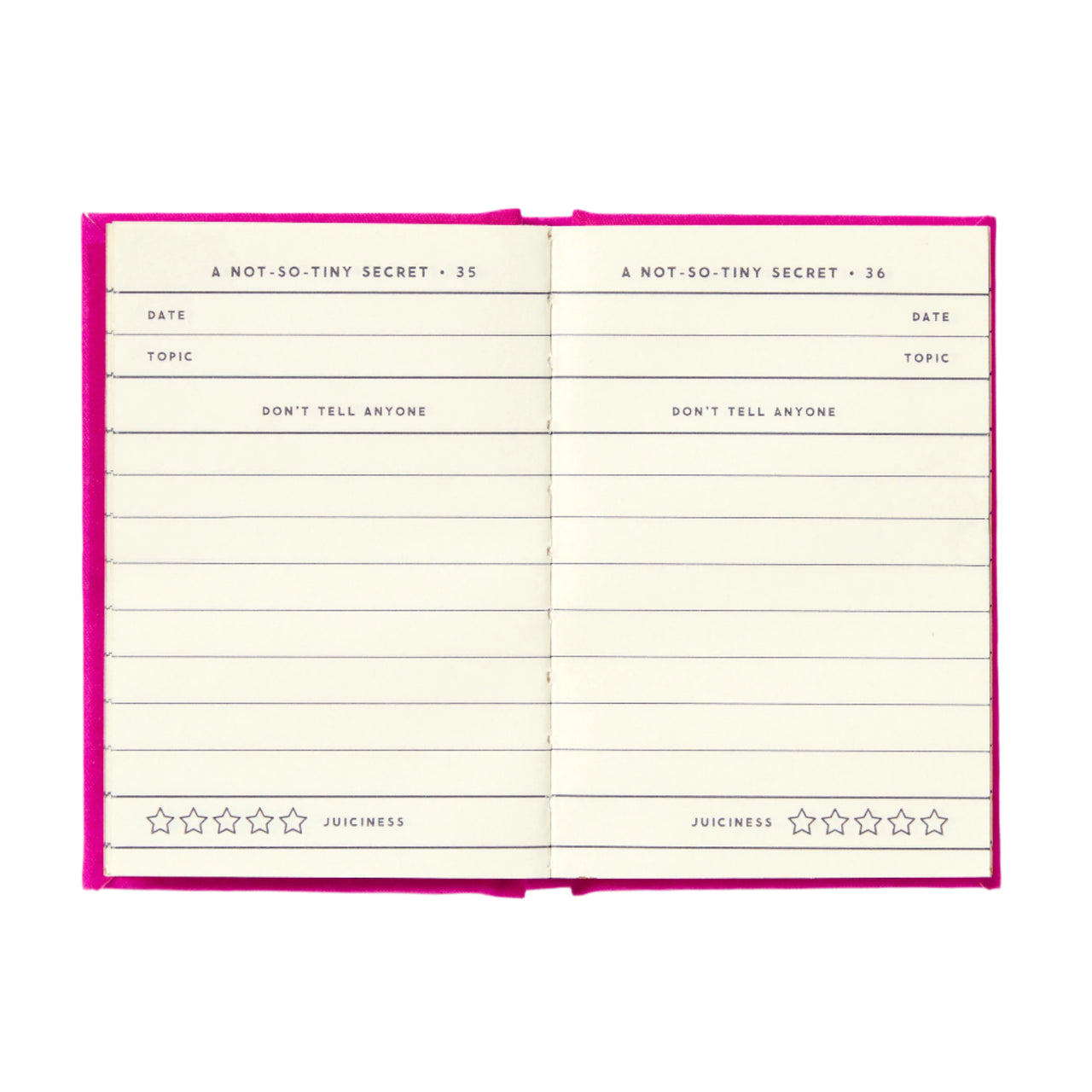 Tiny Books - Tiny Diary for Not So Tiny Secrets