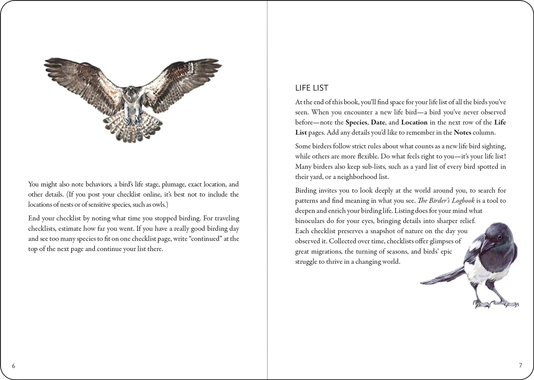 The Birder's Logbook