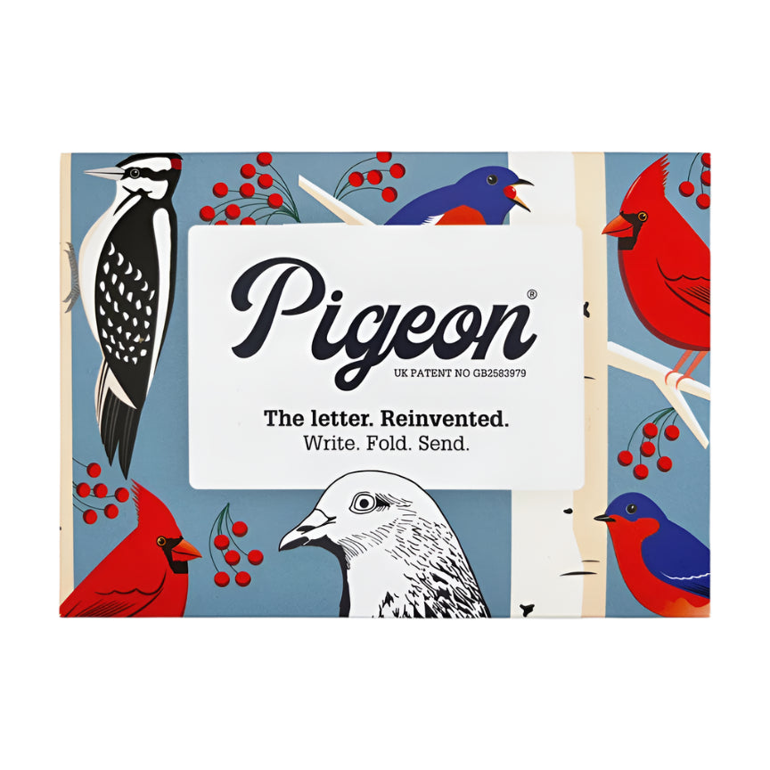 Pigeon Letter Pack - Carnival  Of Colour