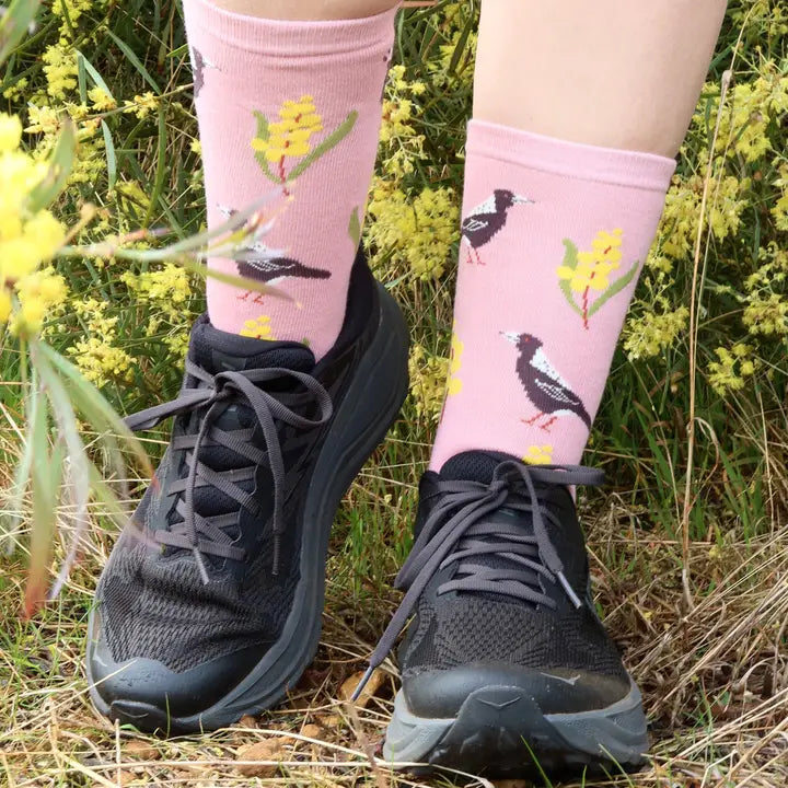 Australian Socks - Magpie Wattle Australian Bird Socks