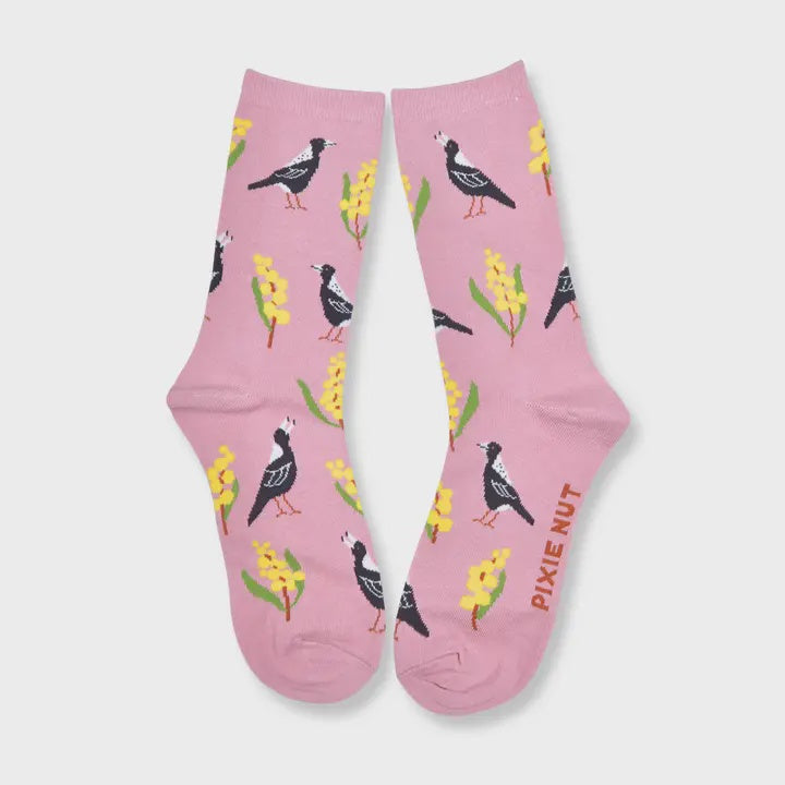 Australian Socks - Magpie Wattle Australian Bird Socks