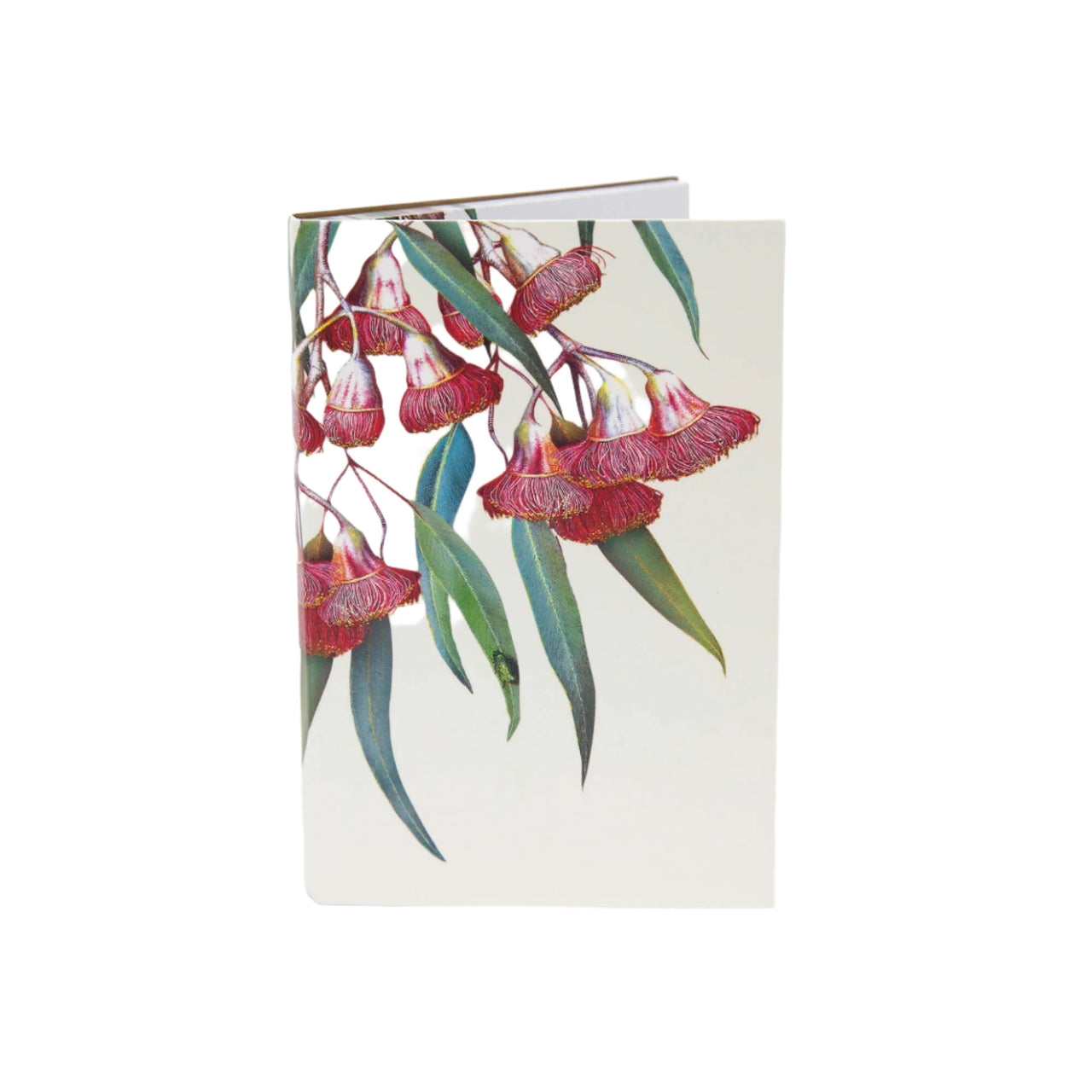Australian Flower Notepad
