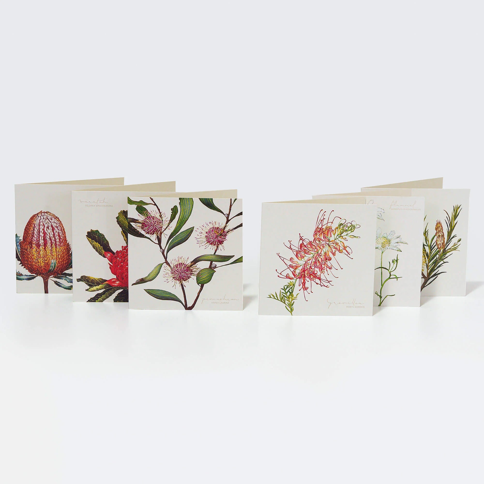 Boxed Cards Australian Natives