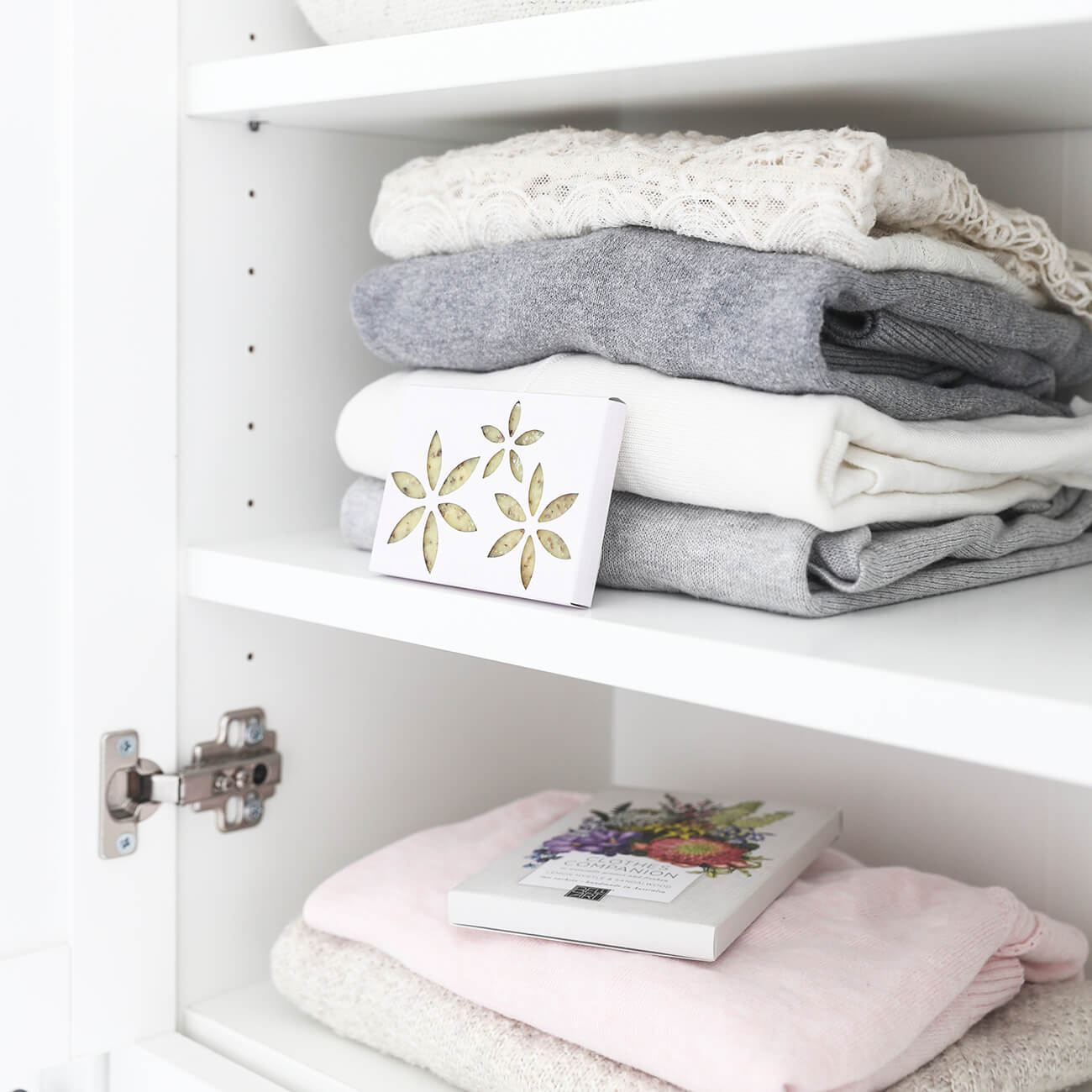 Clothes Companion