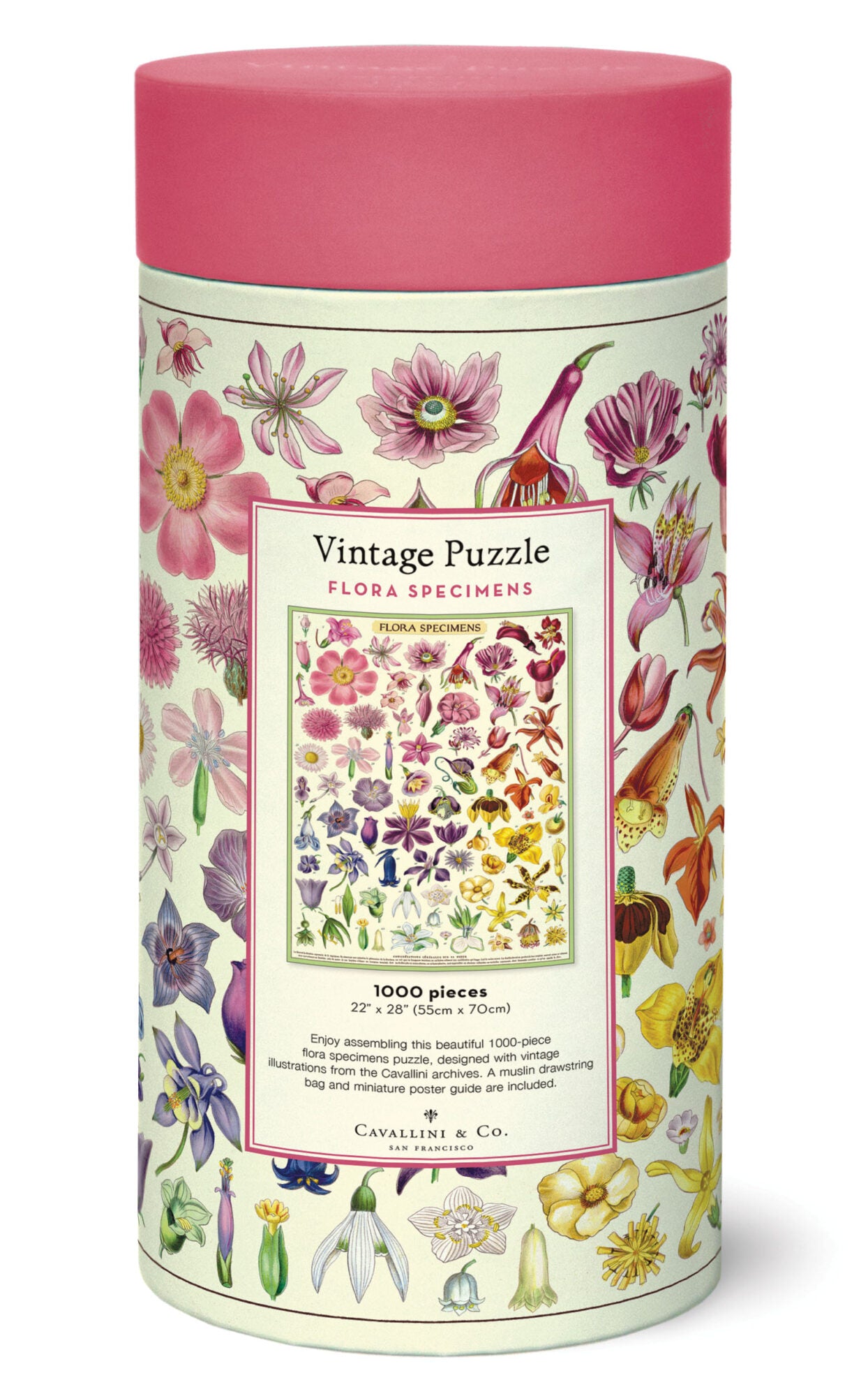 1000pc Vintage Puzzle - Flora Specimens