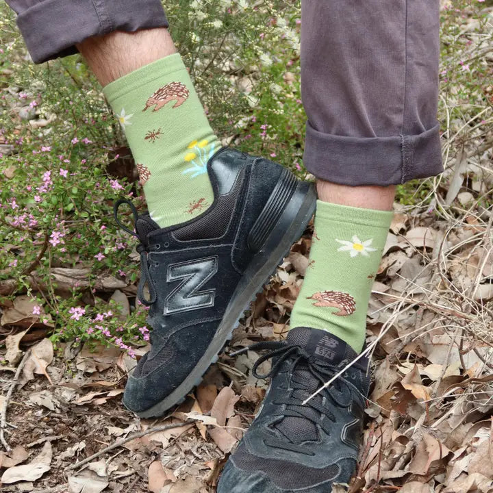 Australian Socks - Echidna