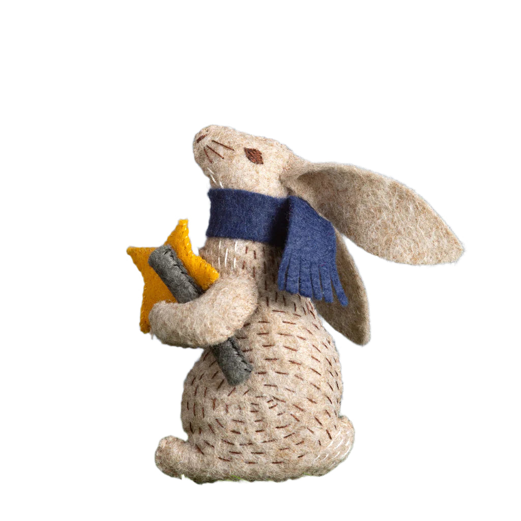 Mini Felt Craft Kit - Prof Hare Stargazer