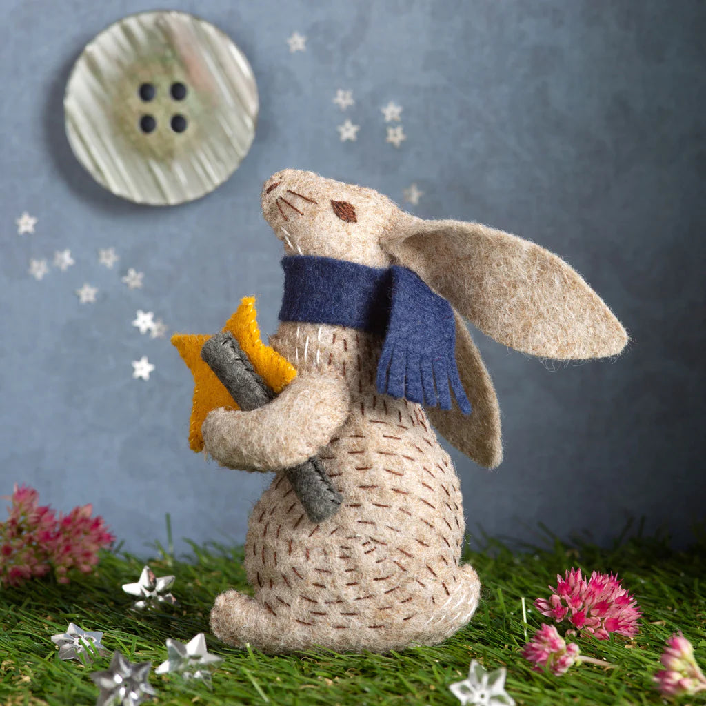 Mini Felt Craft Kit - Prof Hare Stargazer