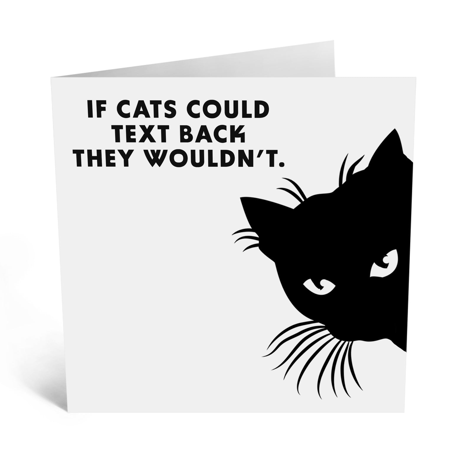 If Cats Could Text Back