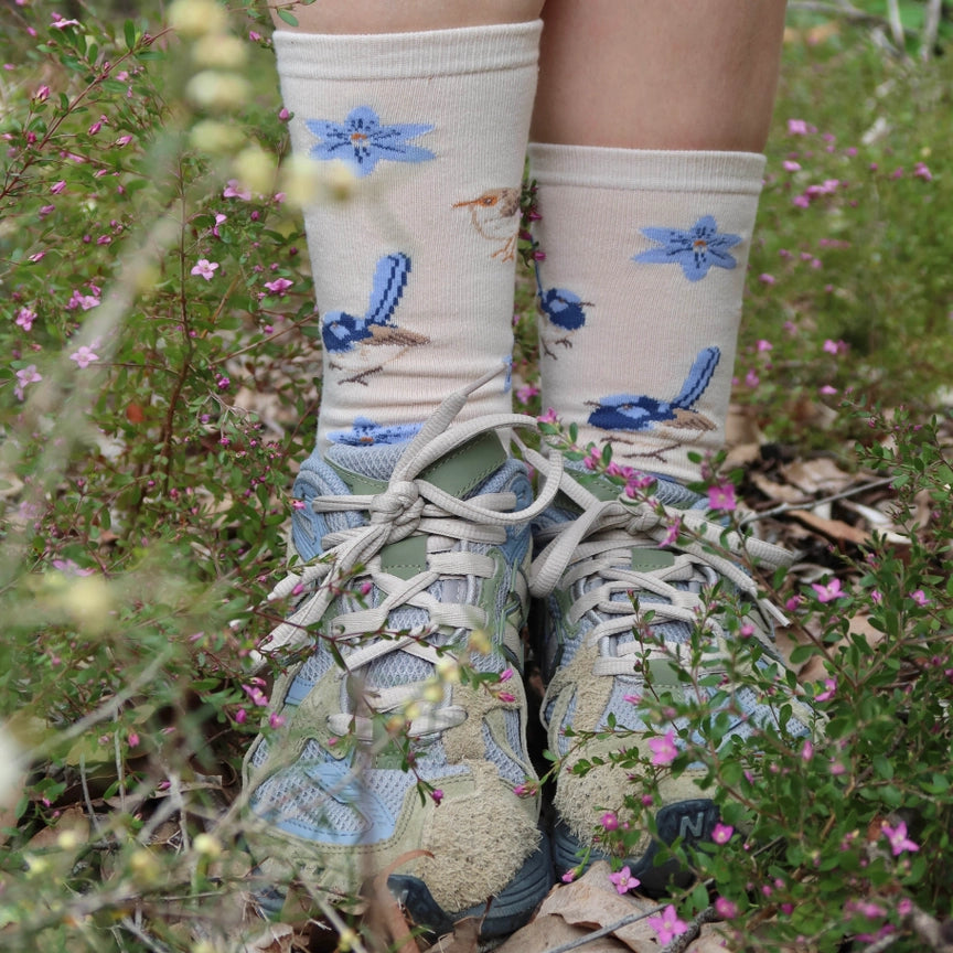 Australian Socks - Fairy Wren Bird Socks