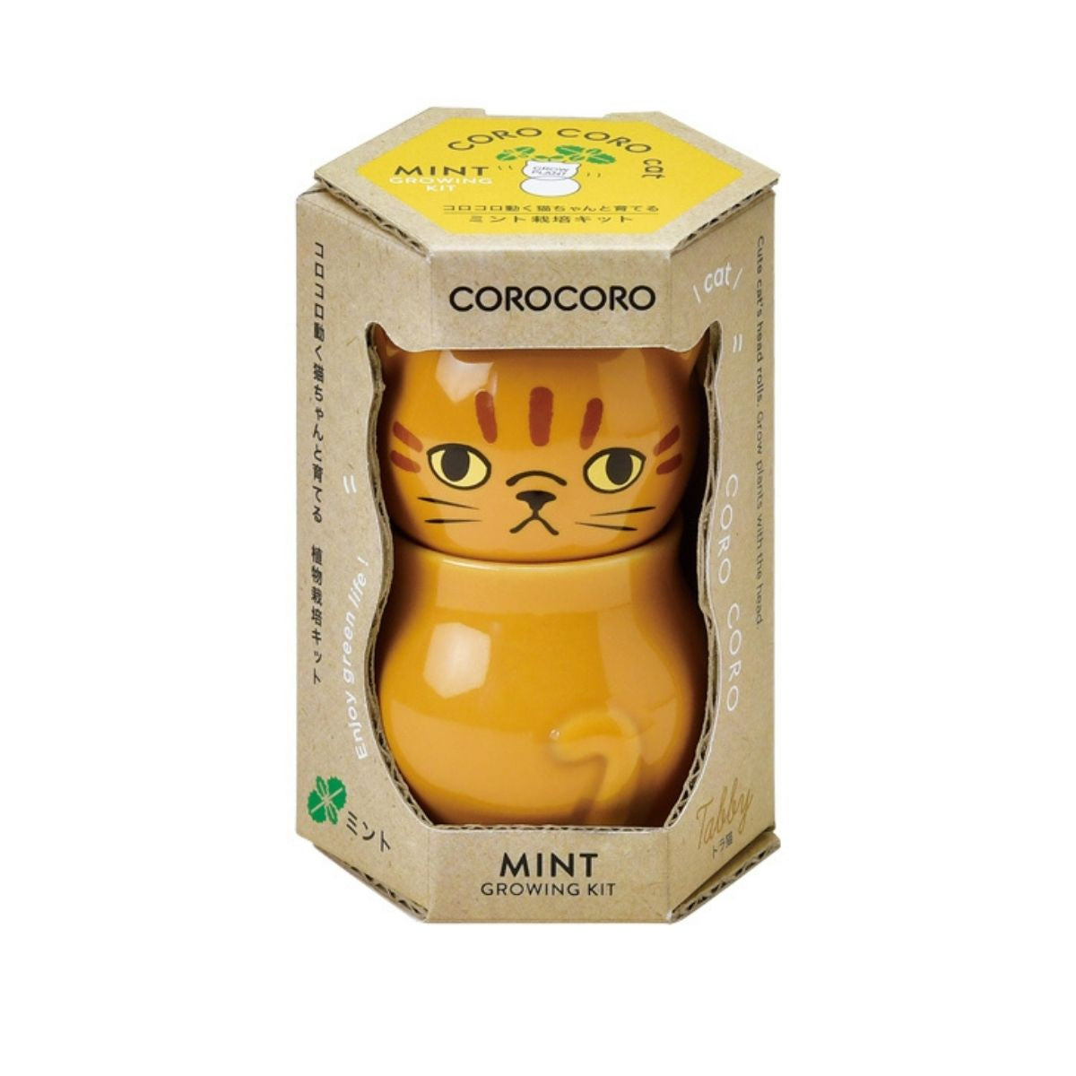 Coro Coro -Brown Cat Mint