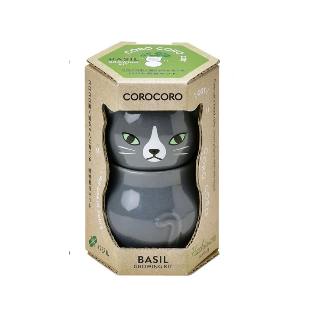Coro Coro - Grey Cat Basil