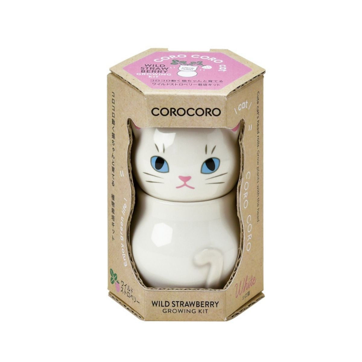 Coro Coro - White Cat Wild Strawberry