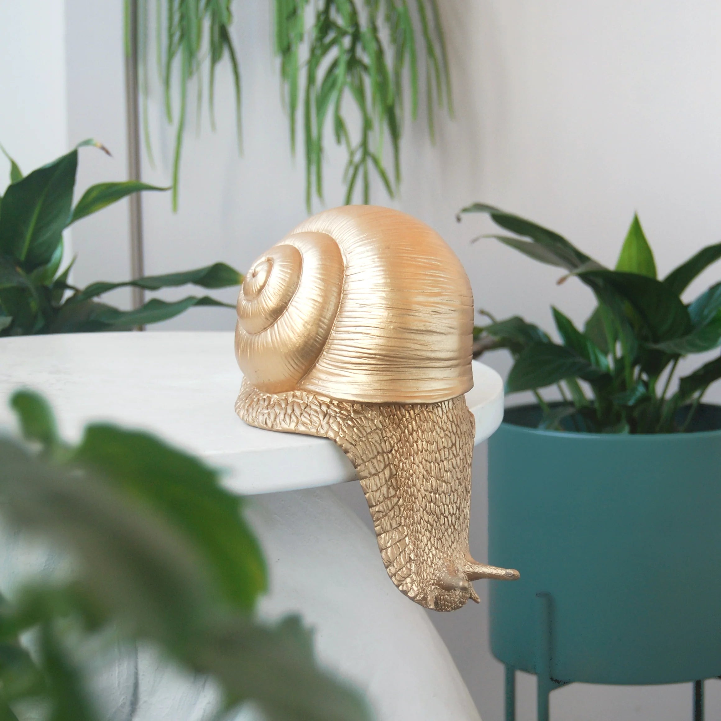 Shelf Snail - Gold
