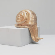 Shelf Snail - Gold