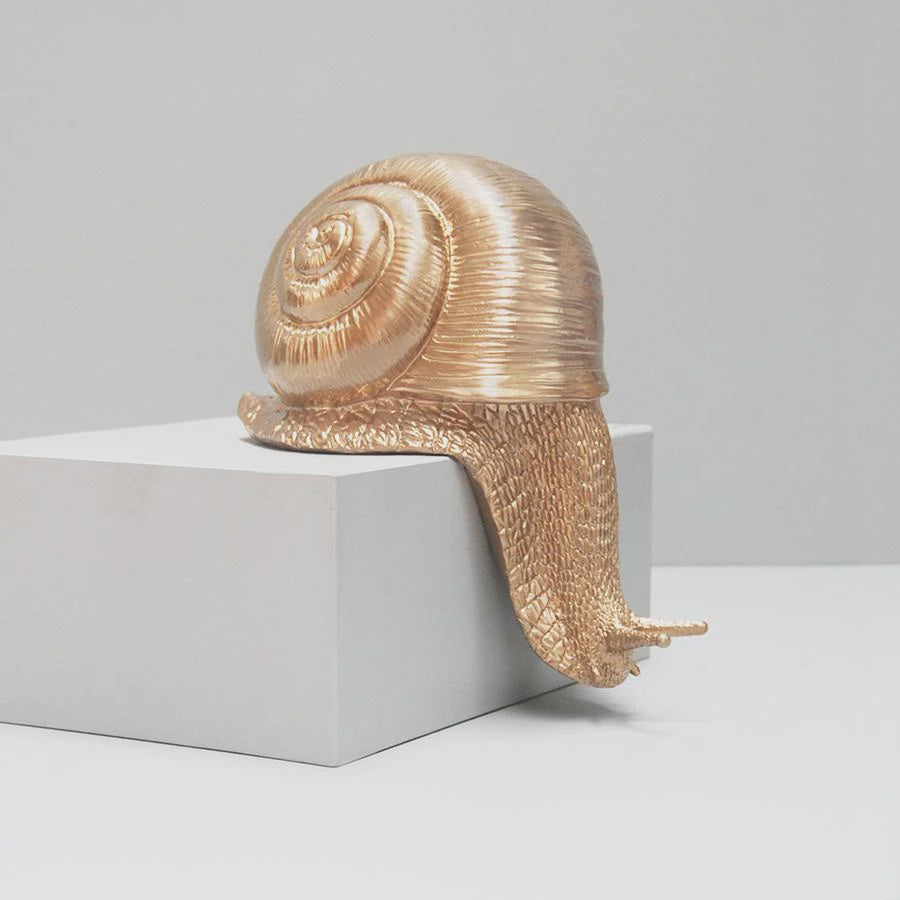 Shelf Snail - Gold