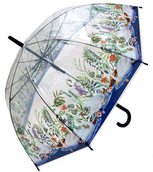 Transparent Umbrella