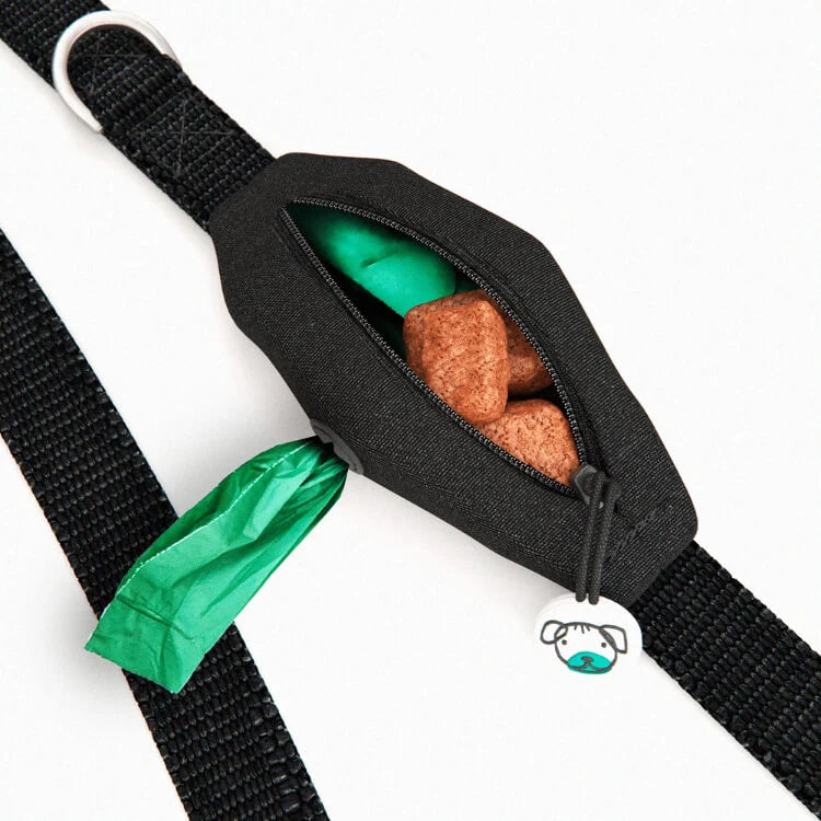 Dog Lead With Poop Bag Holder - Rainbow