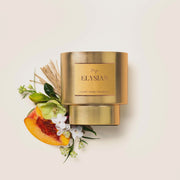 Gold Collection - Elysian Candle