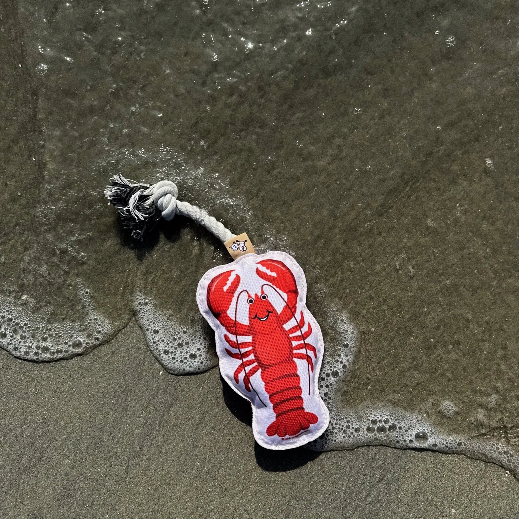 Pet Rope Toy - Lobster