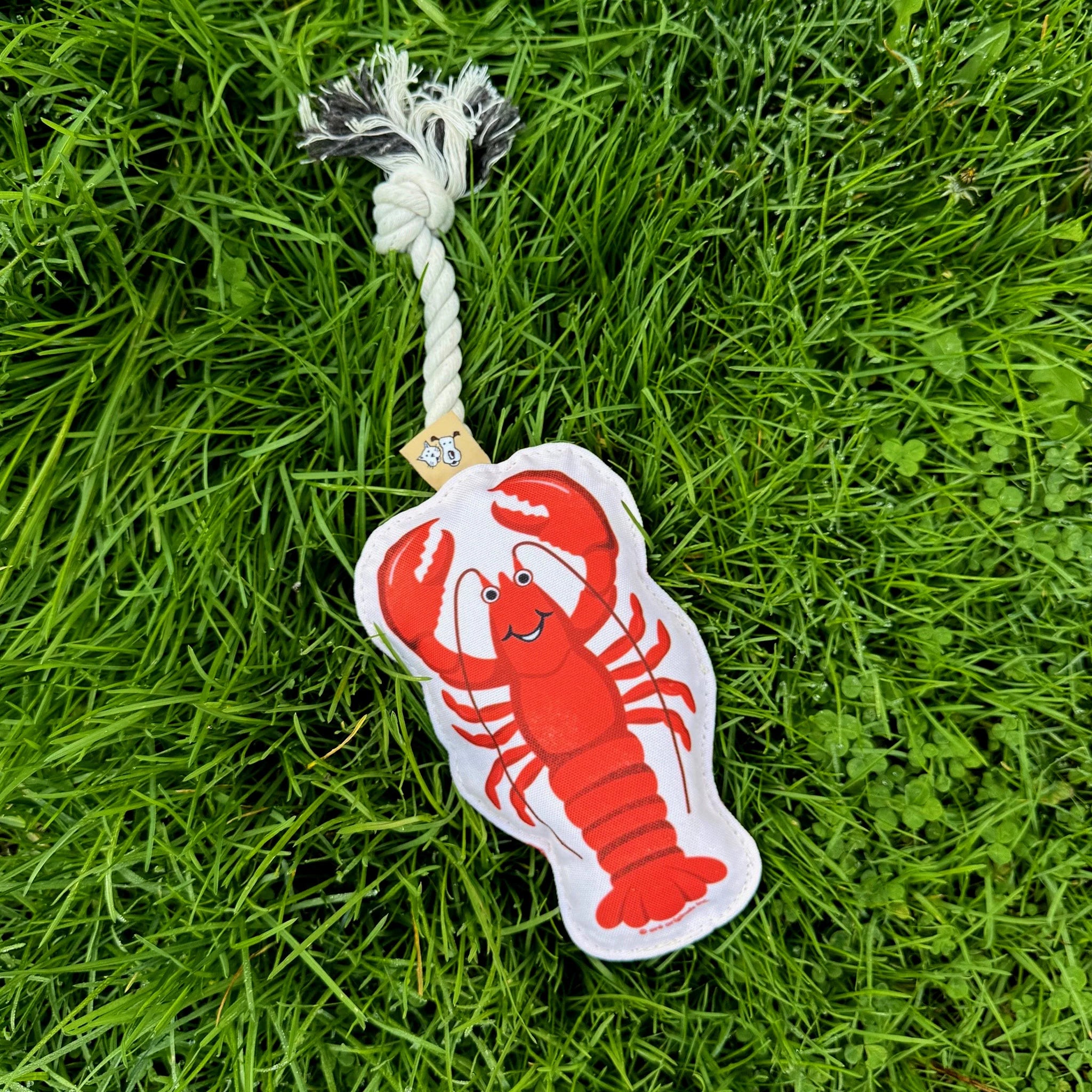 Pet Rope Toy - Lobster