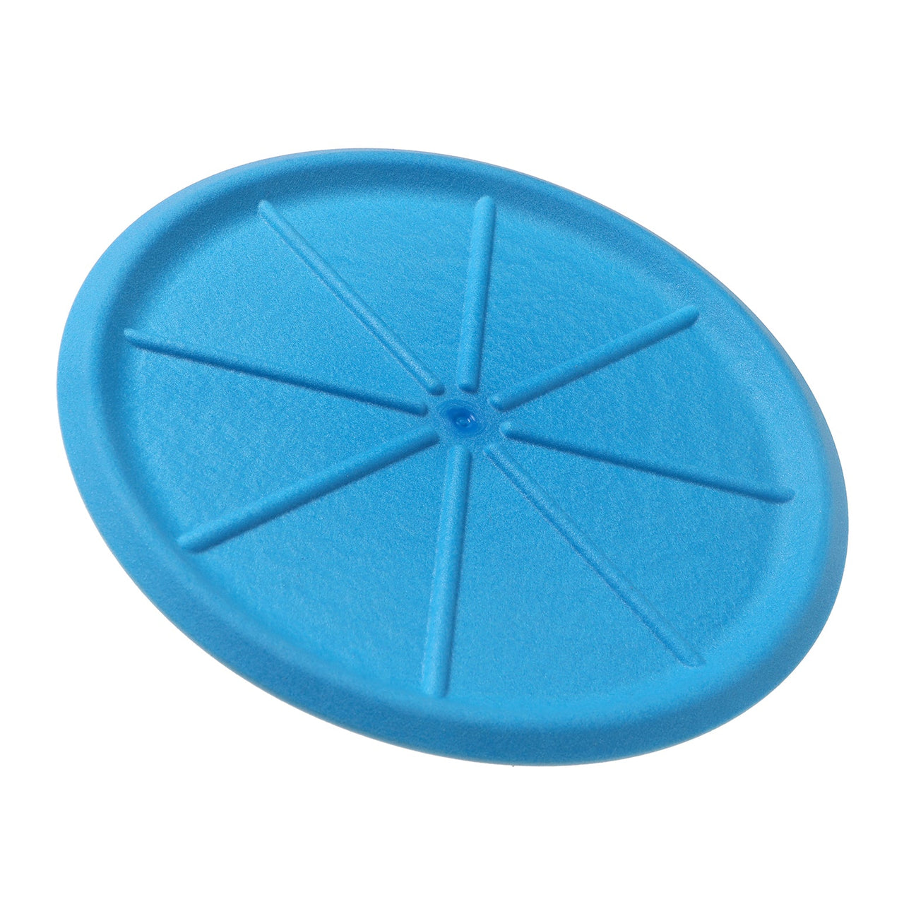 Fetch-A-Disk - Blue