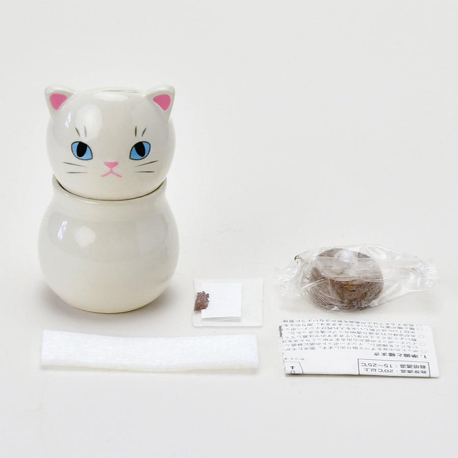 Coro Coro -Brown Cat Mint