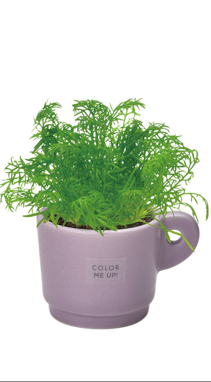 Colour Me Up Mug - Chamomile