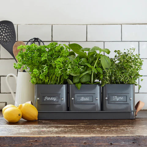 Herb Pots- Charcoal