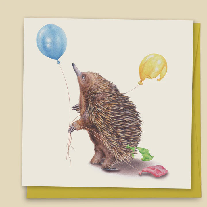 Echidna With Balloons Card