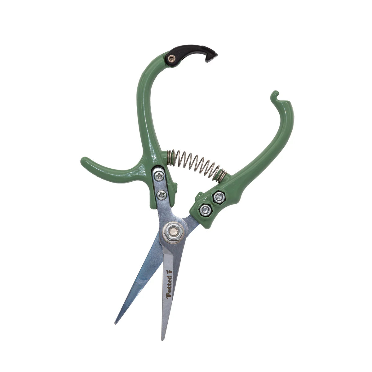 Indoor Plant Snips - Eucalypt