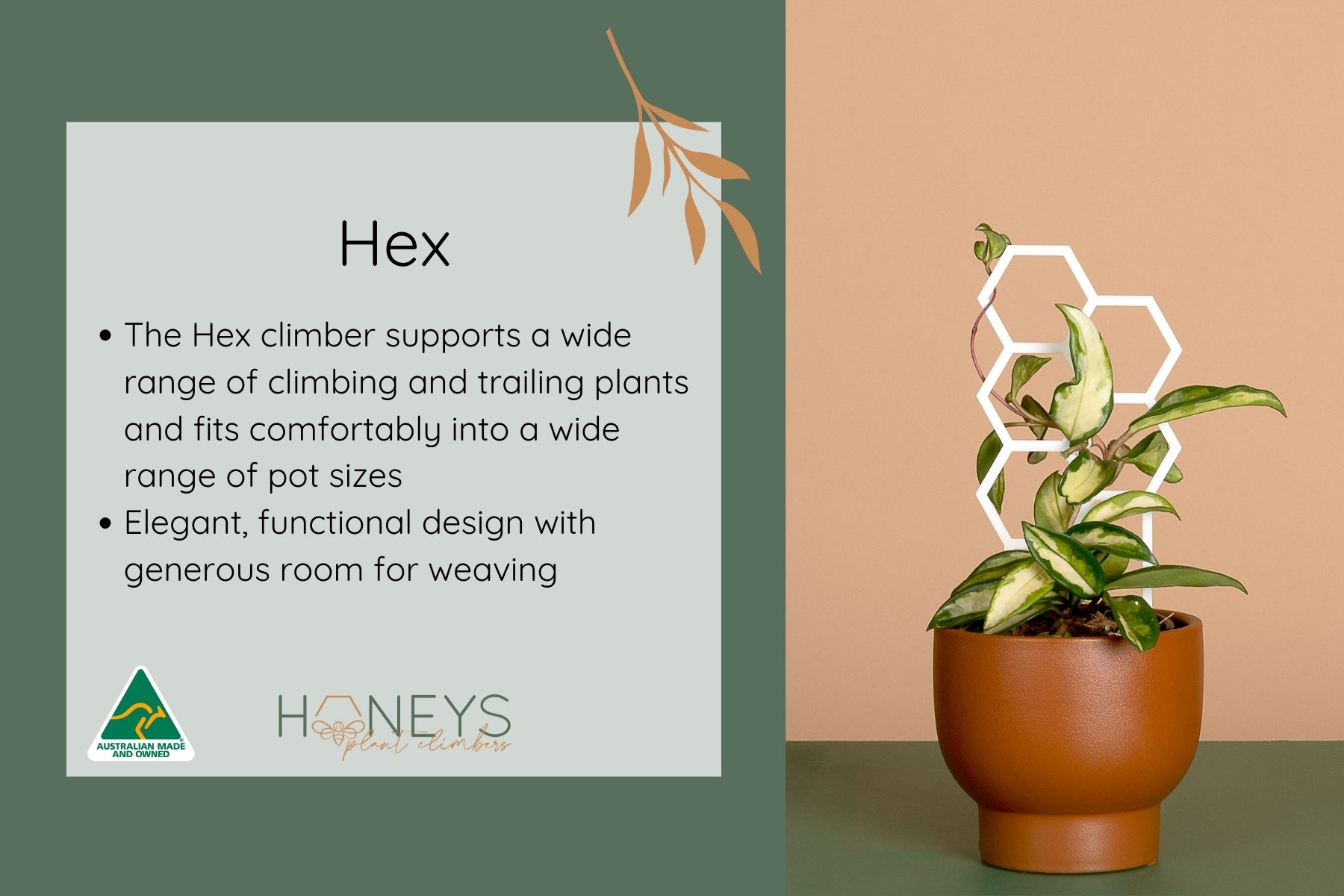 Hex Plant Climber - White