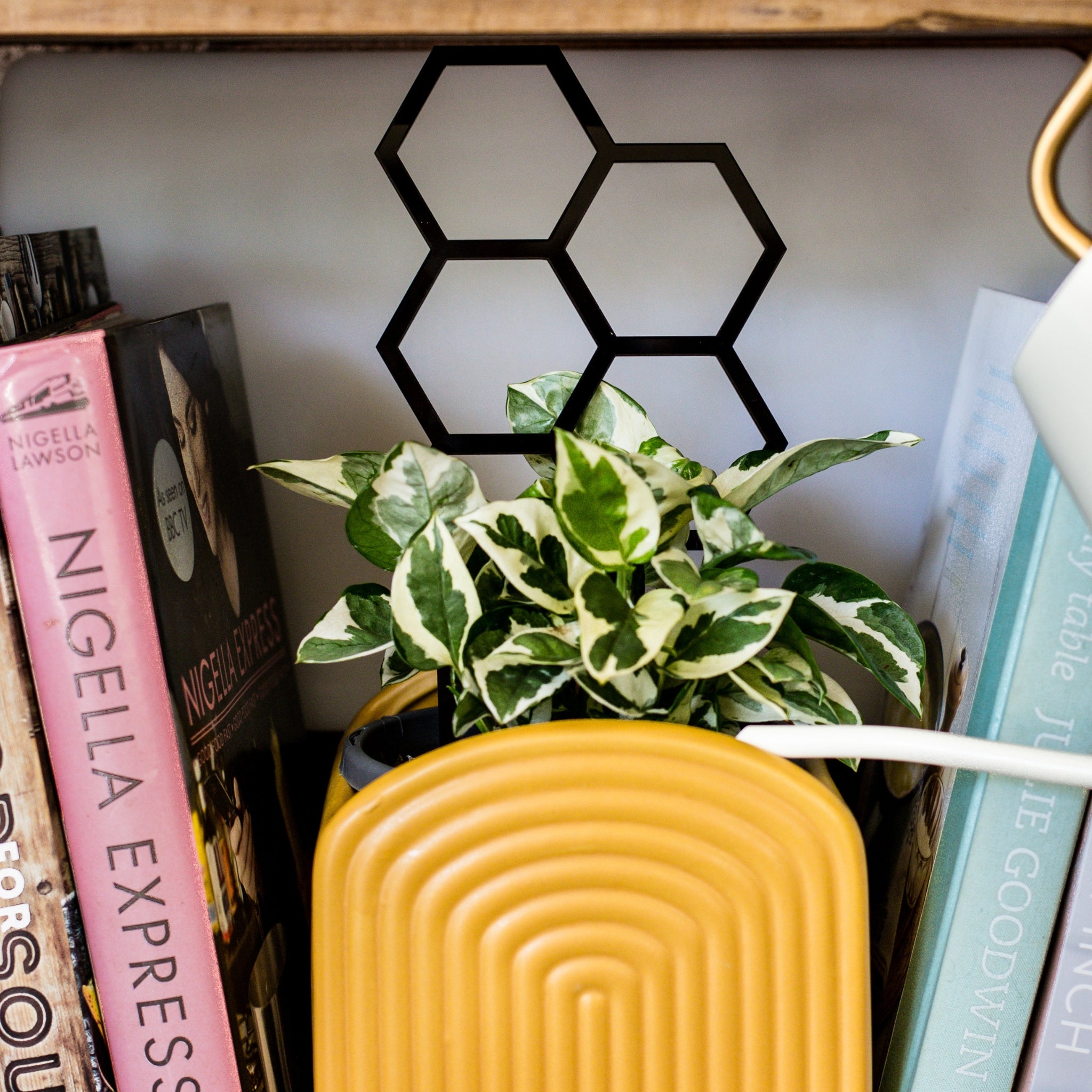 Hex Plant Climber - Black