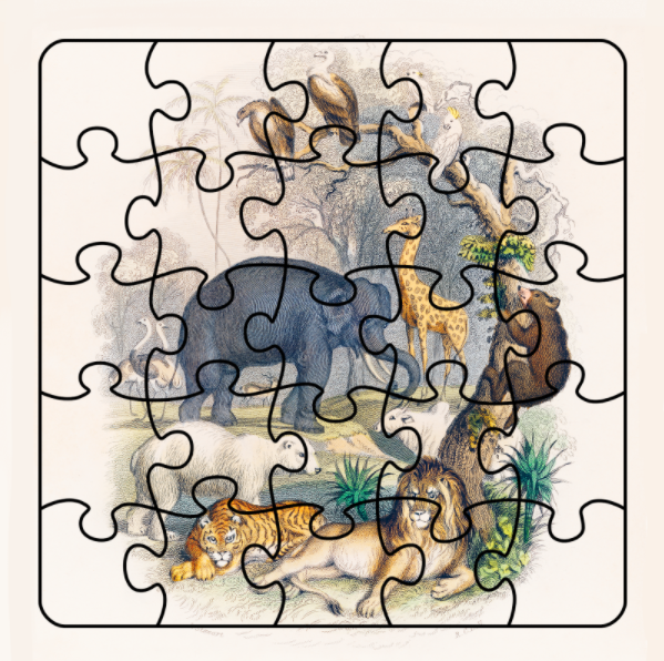 Puzzle Card - A History Of The Earth