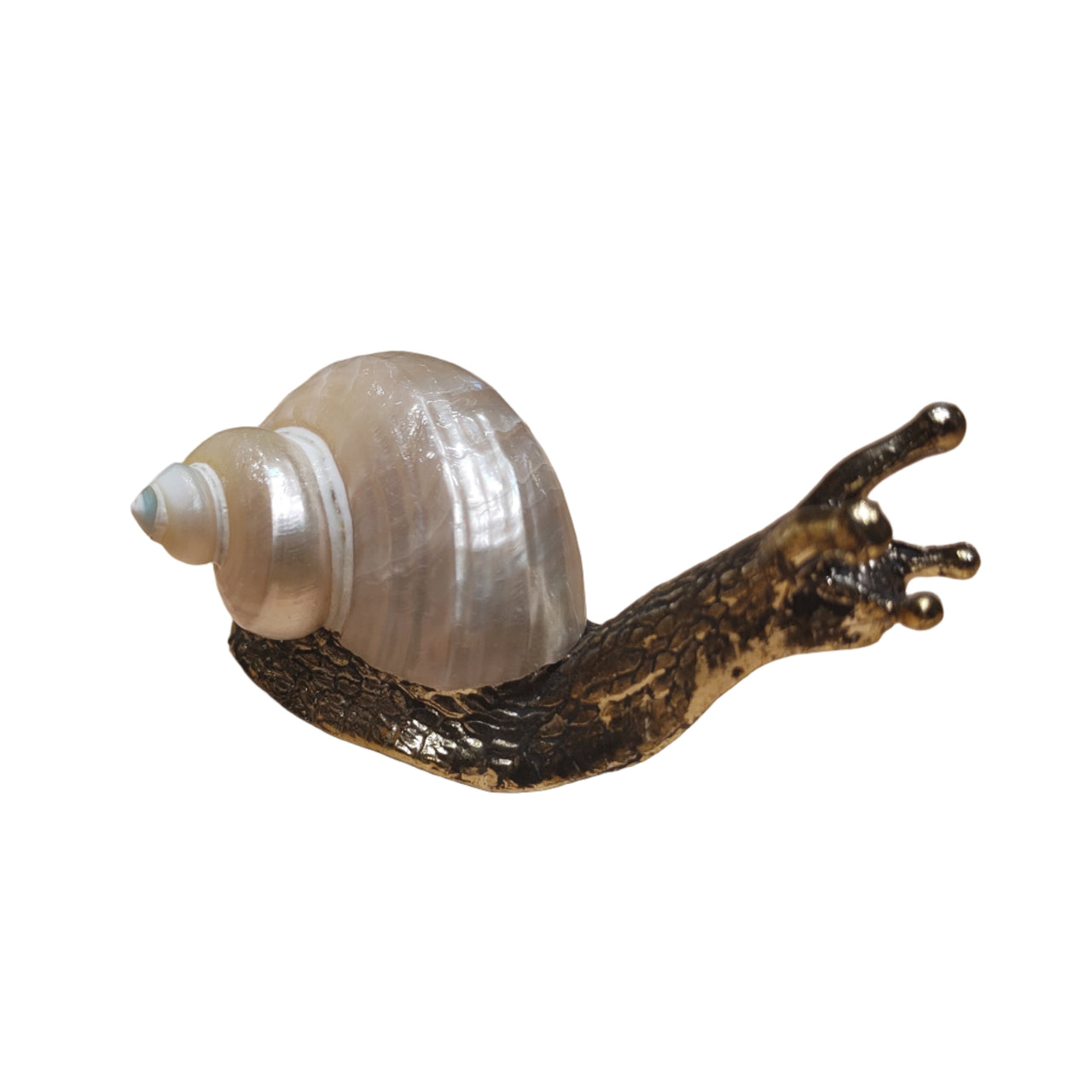 Snail Antique Finish - Large