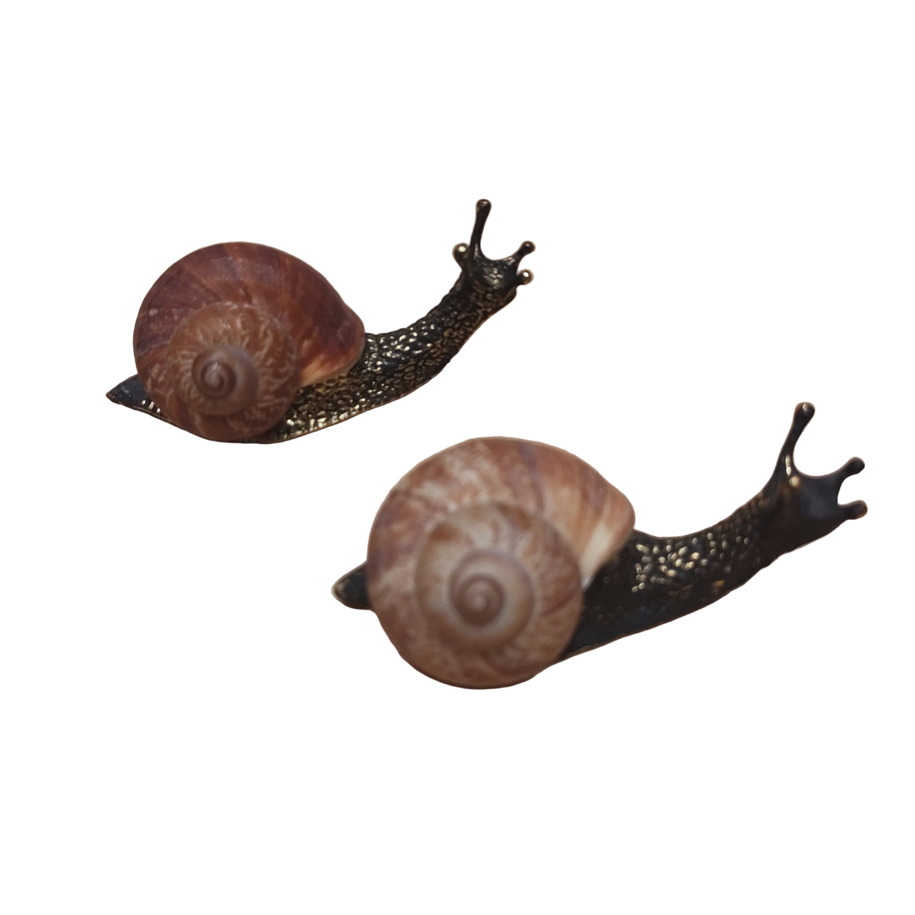 Snail Antique Finish - Small
