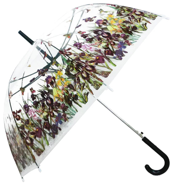 Transparent Umbrella