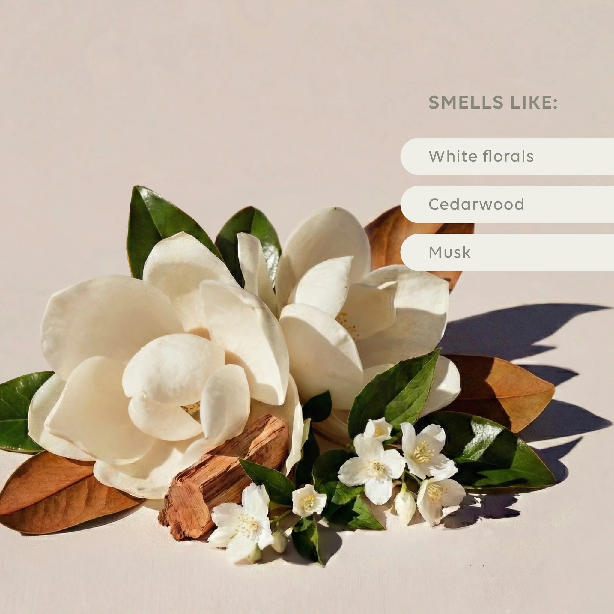 Home Ritual Set - Ivory Bloom
